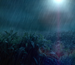 Thumbnail #9
